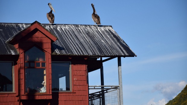 The Angelmo fish market serves tasty food in Puerto Montt, Chile.